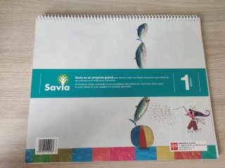 Libro de plástica