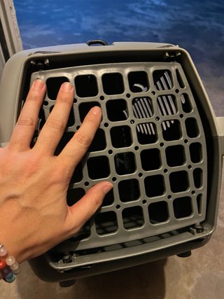 Transportín para mascotas con cojín. NUEVO