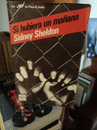 Se ci fosse un domani - Sidney Sheldon
