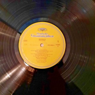 J. Strauss Jr. An der schönen blauen Donau LP