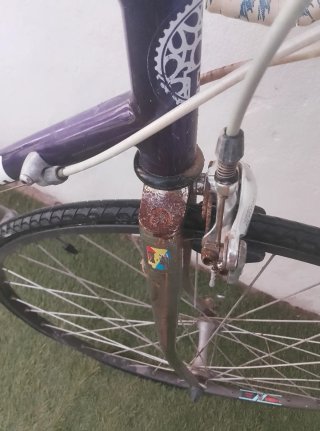 Bicicleta clásica Razesa (Cuadro Cr-Mo) años 90