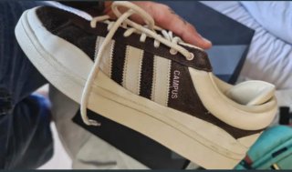 Adidas Campus Bad Bunny