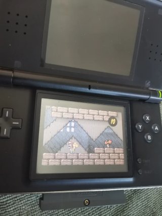 2 Nintendo DS Lite (Rosa y Negra)