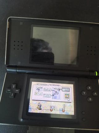 2 Nintendo DS Lite (Rosa y Negra)
