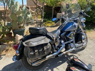 Harley Davidson