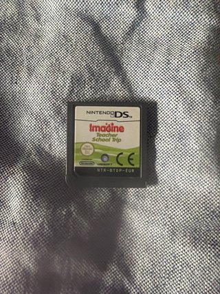 Nintendo DS Imagine Teacher School Trip