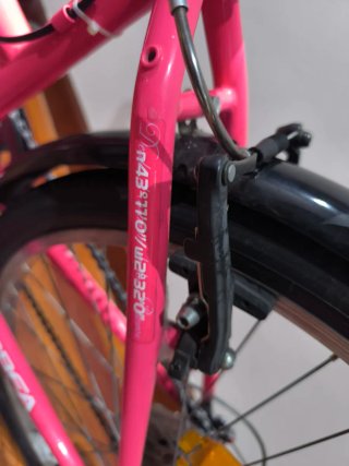 Bicicleta Orbea Lady Swan