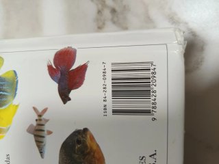 Peces de Acuario