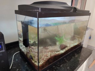 Acuario pecera de cristal y plástico