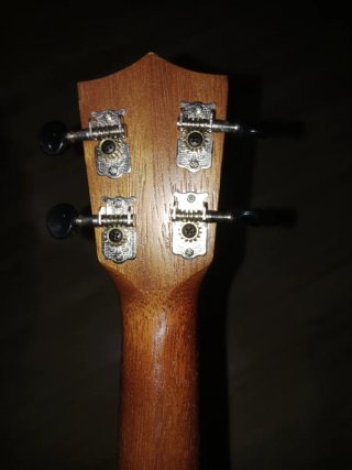 Ukelele Aria