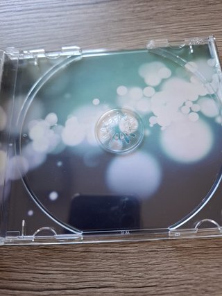 CD "Alle porte del sogno" di Irene Grandi