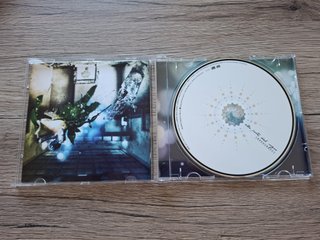 CD "Alle porte del sogno" di Irene Grandi