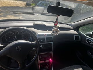 Peugeot 307 2004