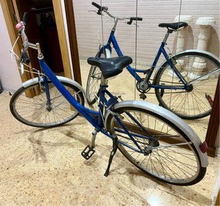 Bicicleta Paseo Adulto Urbana