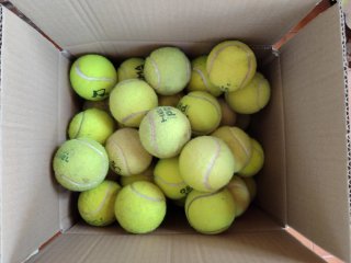 24 Pelotas de Pádel para Manualidades
