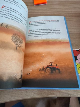 La pace è un fiore fragile