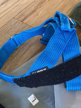 Arneses para perros (varios)