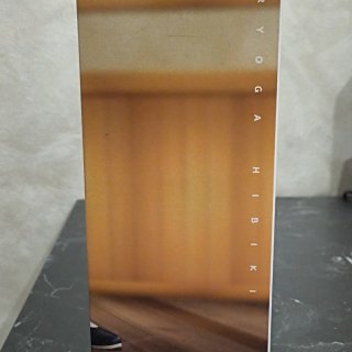 Bandai Ranma 1/2 Ryoga Hibiki Figure