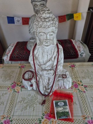 Mala tibetano, braccialetto e anello in cinabro