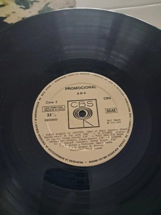 ‼️2 VINILOS x 9€‼️ ANA BELÉN Y VICTOR MANUEL
