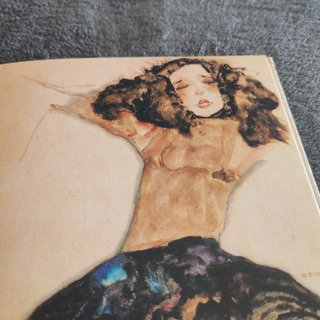 Livro hard cover Esboços Eróticos" de Egon Schiele