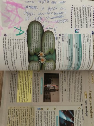 Libro lengua 1 eso