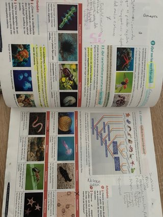 Libro biologia 1 eso