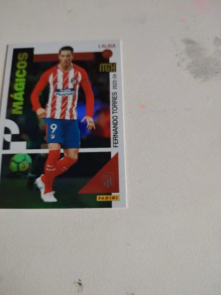 Carta Fernando Torres Mágicos MGK 23/24