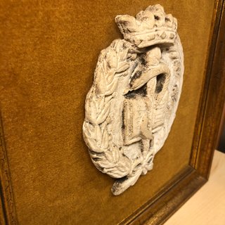 Placa Bastón Asclepio Medicina Marco Dorado