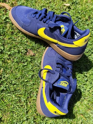 Zapatillas Nike Field General Azul y Amarillo