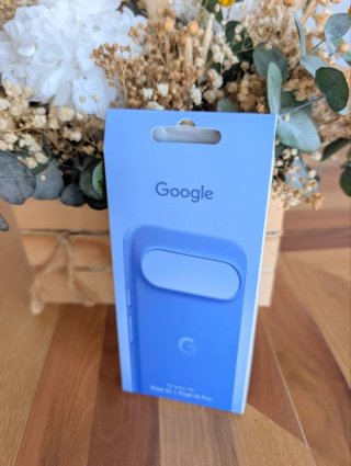 *Funda Google Pixel 10 Pro*