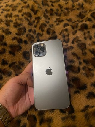iPhone 12 Pro Titanio