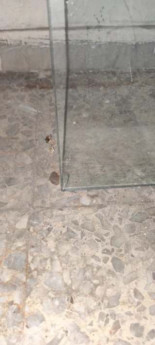 Cristal para mesa