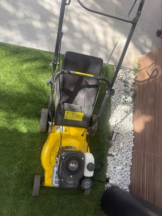 Cortacésped amarillo con bolsa