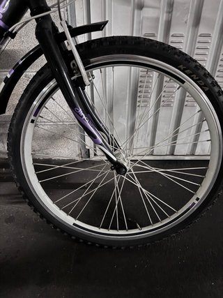 Bicicleta Dino Bikes 12 Morado