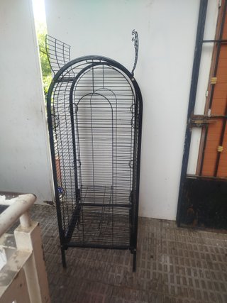 Jaula para loro grande