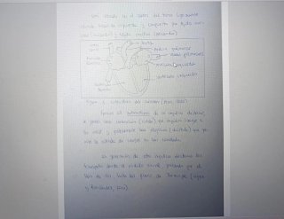 Programación Educación Física Secundaria + Temas