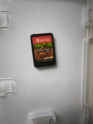 Minecraft Nintendo Switch