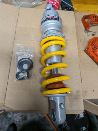 Beta EVO 300