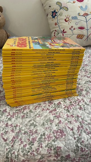 Lote de 27 libros de “Gerónimo Stilton English”
