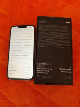 iPhone 13 Pro Max 256 GB Gris