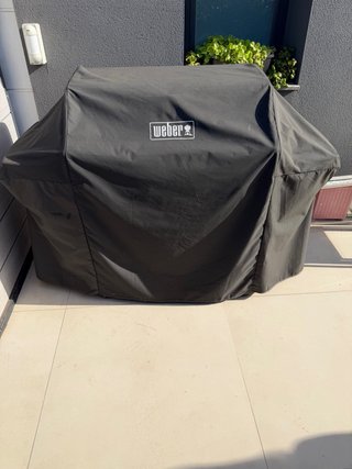 Barbacoa Gas Weber Genesis II Gris