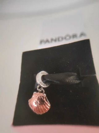 Charm Concha de Mar y Perla 2023