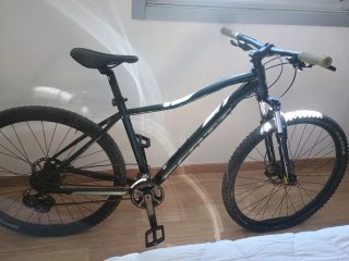 Bicicleta de Montaña