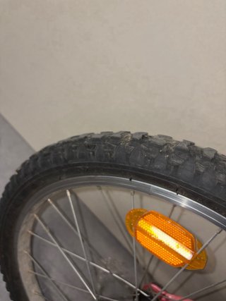 Bicicleta niña 20 rosa