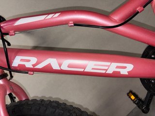 Bicicleta niña 20 rosa