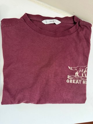 Pack 2 Pantalones y 2 Camisetas Gris .