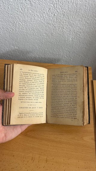 Libro La Rosa Mística - 1885
