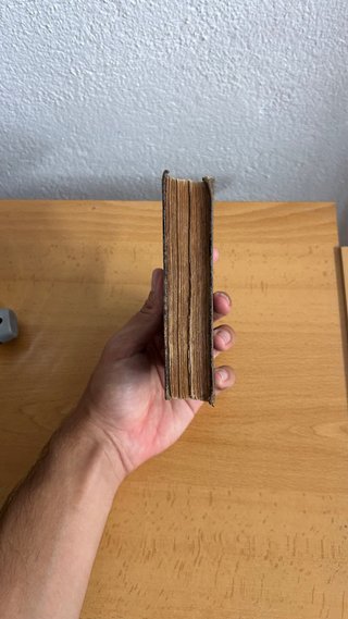 Libro La Rosa Mística - 1885