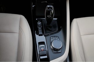 BMW X1 20i (todos los extras)